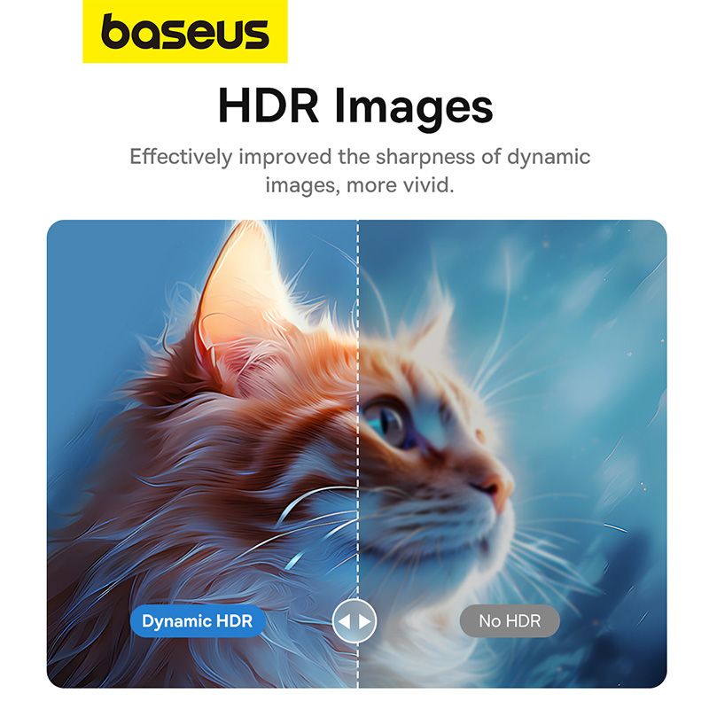Baseus Adaptateur USB-C vers DisplayPort 8K 2m 🖥️ -B0063370D111-00